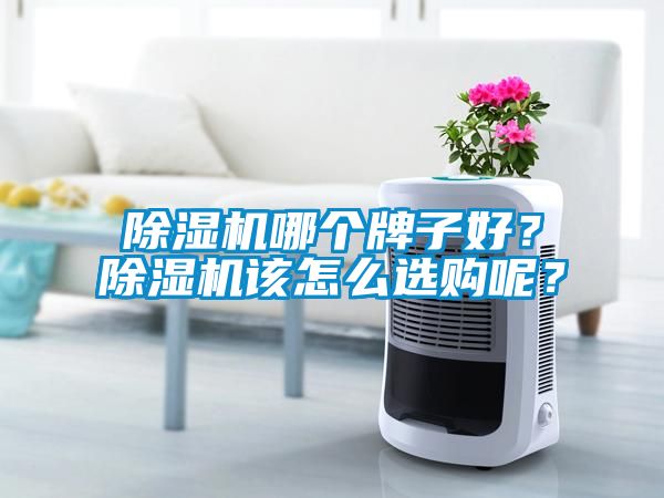 除濕機(jī)哪個(gè)牌子好？除濕機(jī)該怎么選購(gòu)呢？
