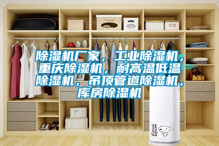 除濕機(jī)廠家，工業(yè)除濕機(jī)，重慶除濕機(jī)，耐高溫低溫除濕機(jī)，吊頂管道除濕機(jī)，庫(kù)房除濕機(jī)