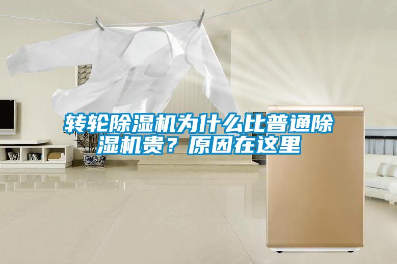 轉輪除濕機為什么比普通除濕機貴？原因在這里