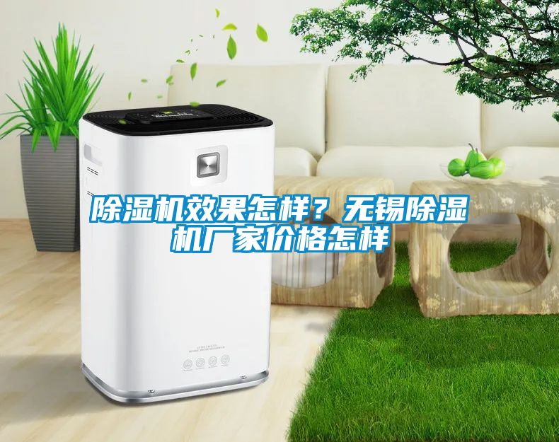 除濕機(jī)效果怎樣？無(wú)錫除濕機(jī)廠家價(jià)格怎樣