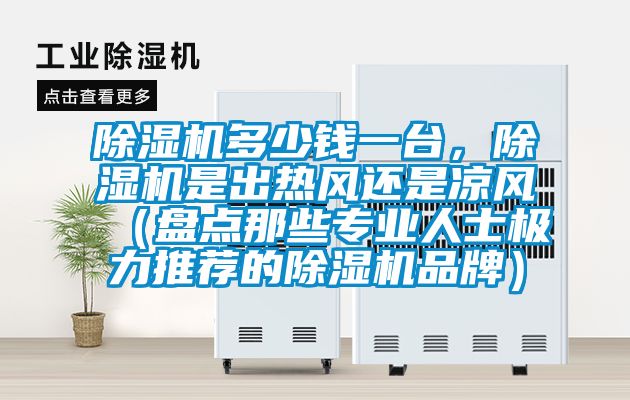 除濕機(jī)多少錢一臺(tái)，除濕機(jī)是出熱風(fēng)還是涼風(fēng)（盤點(diǎn)那些專業(yè)人士極力推薦的除濕機(jī)品牌）