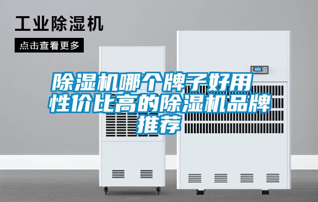 除濕機(jī)哪個(gè)牌子好用 性價(jià)比高的除濕機(jī)品牌推薦