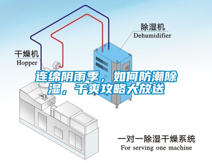 連綿陰雨季，如何防潮除濕，干爽攻略大放送