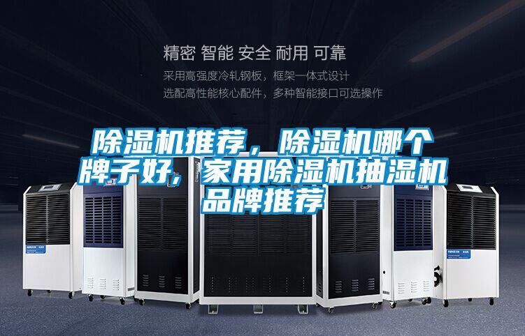 除濕機推薦，除濕機哪個牌子好, 家用除濕機抽濕機品牌推薦