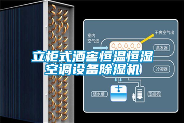 立柜式酒窖恒溫恒濕空調(diào)設備除濕機