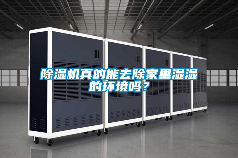 除濕機(jī)真的能去除家里濕濕的環(huán)境嗎？