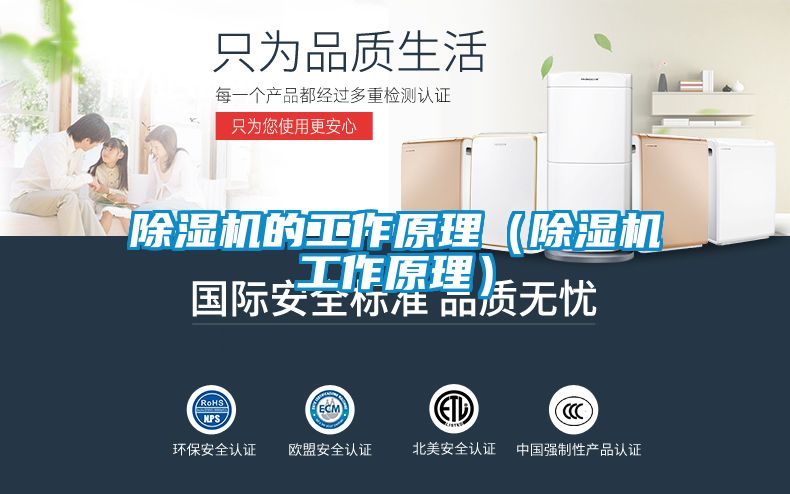 除濕機(jī)的工作原理（除濕機(jī)工作原理）
