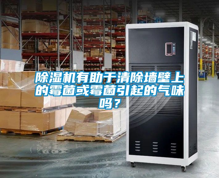 除濕機有助于清除墻壁上的霉菌或霉菌引起的氣味嗎？