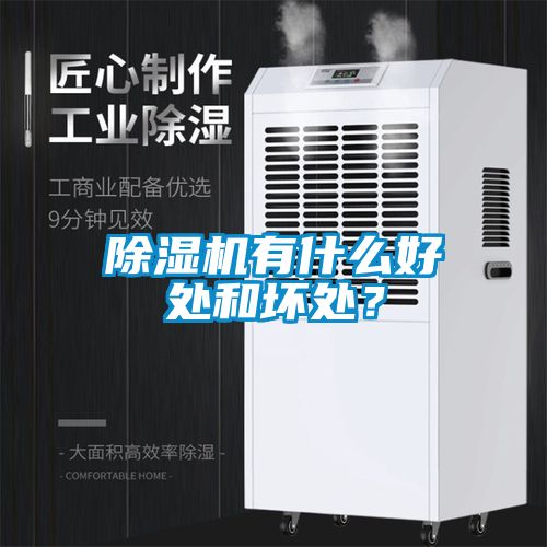 除濕機(jī)有什么好處和壞處？