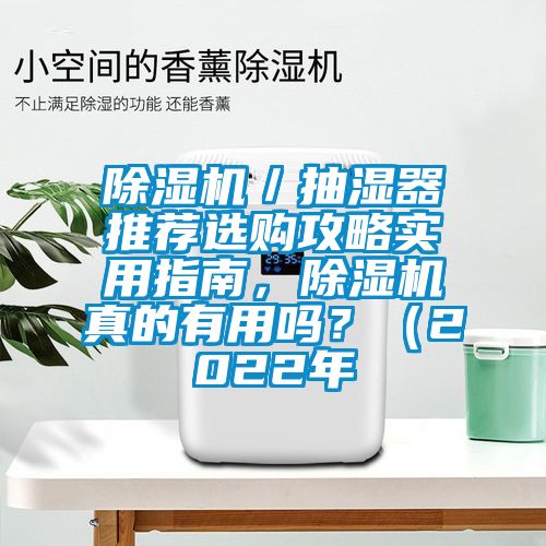 除濕機／抽濕器推薦選購攻略實用指南，除濕機真的有用嗎？（2022年