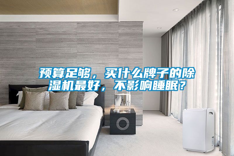預算足夠，買什么牌子的除濕機最好，不影響睡眠？