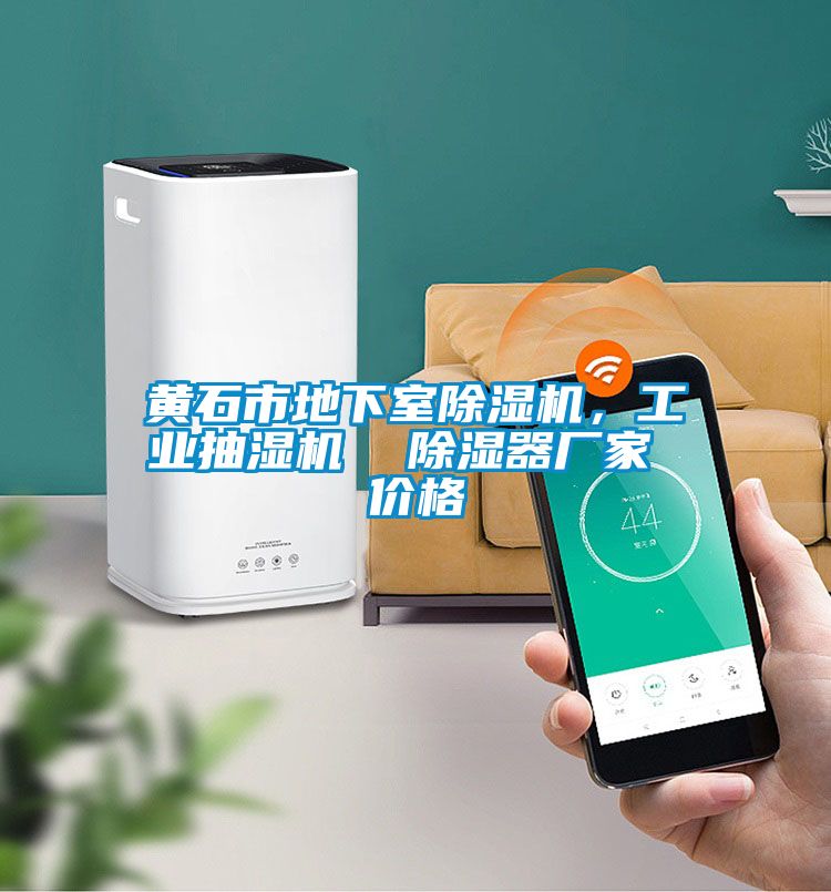 黃石市地下室除濕機(jī)，工業(yè)抽濕機(jī)  除濕器廠家 價(jià)格