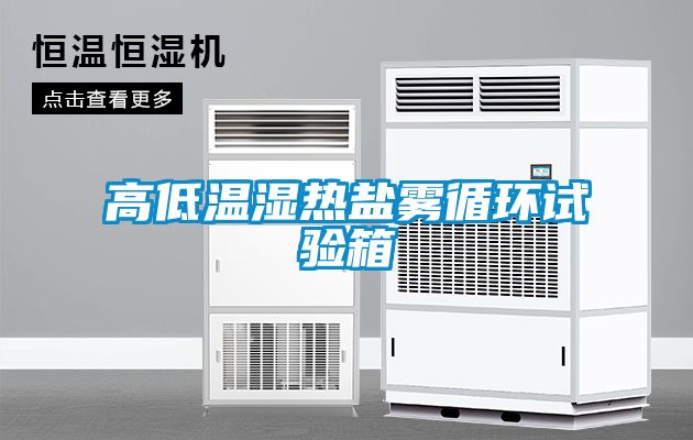 高低溫濕熱鹽霧循環(huán)試驗(yàn)箱