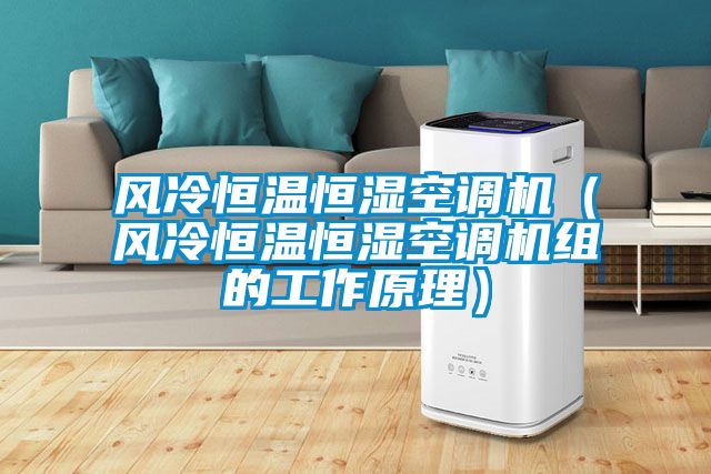 風冷恒溫恒濕空調機（風冷恒溫恒濕空調機組的工作原理）