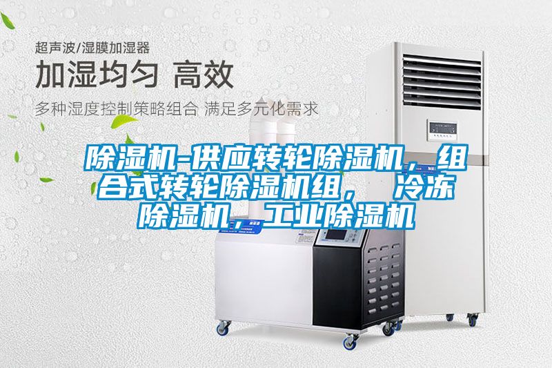 除濕機-供應轉(zhuǎn)輪除濕機，組合式轉(zhuǎn)輪除濕機組， 冷凍除濕機，工業(yè)除濕機