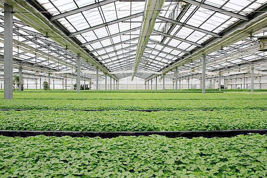 除濕器如何解決高濕度、多種危害的溫室除濕問題？